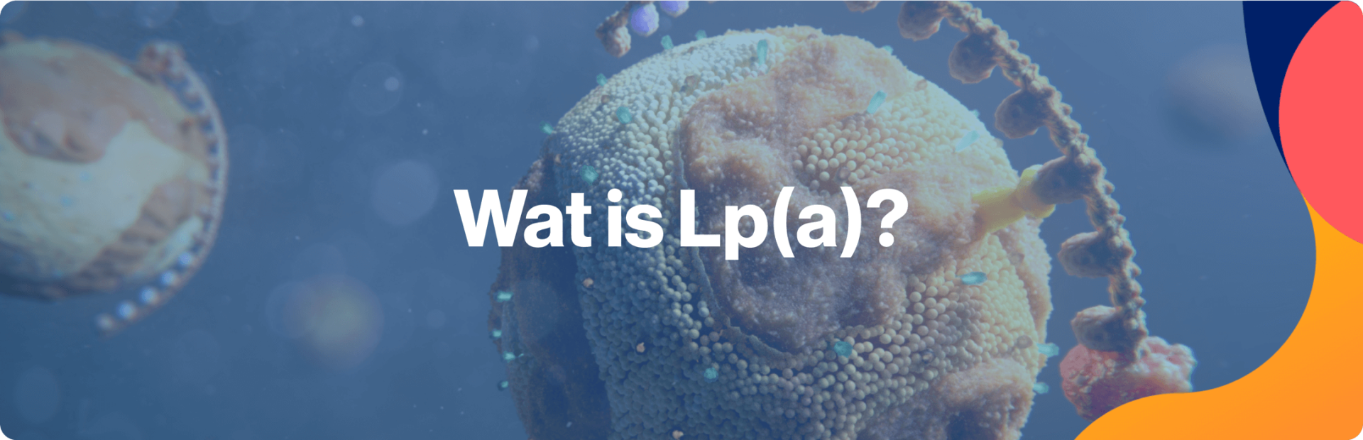 Wat is Lp(a)?