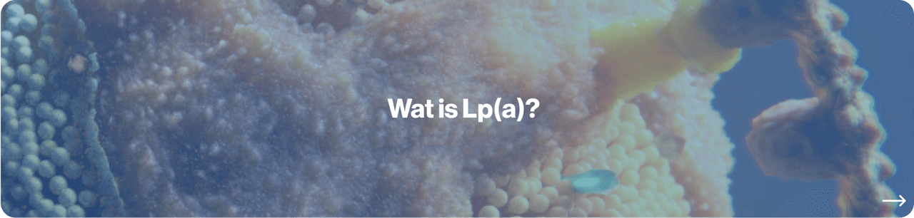 Wat is Lp(a) tussenblok 